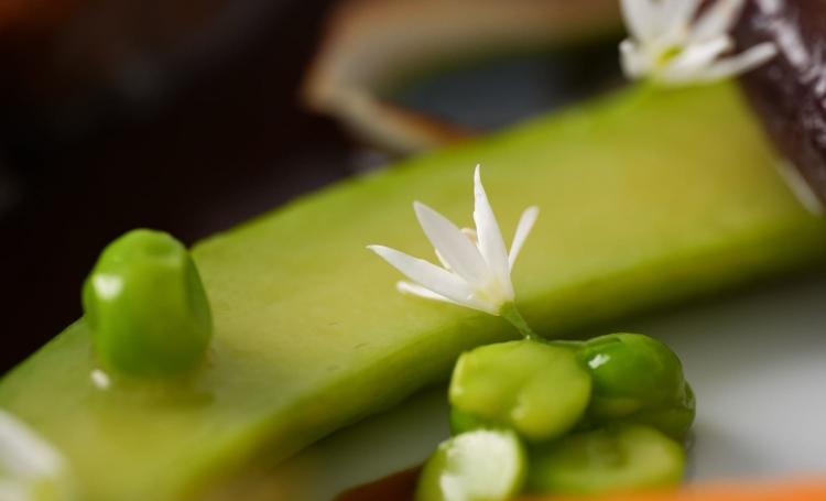 Amarines - Restaurant